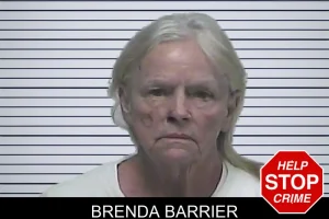 Brenda Barrier mugshot