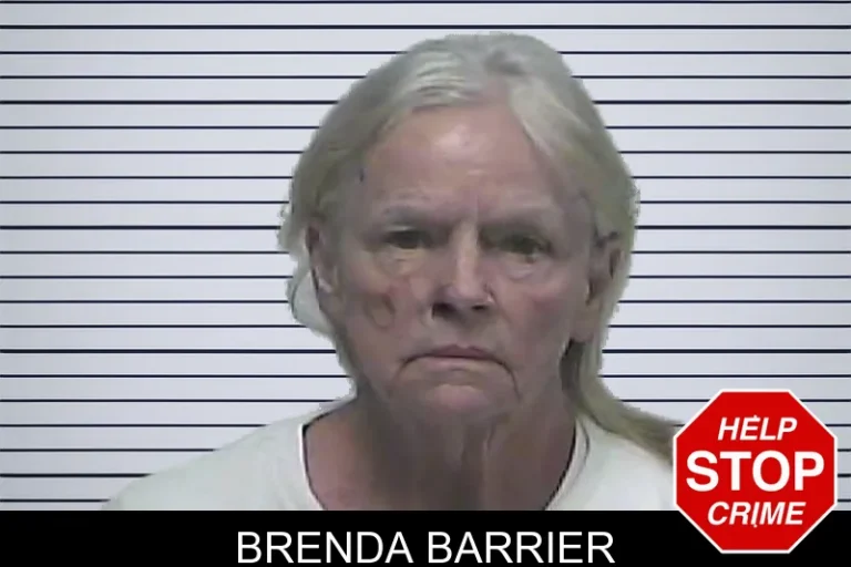 Brenda Barrier mugshot – Dawson County , Georgia Brenda Barrier
