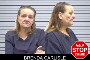 Brenda Carlisle mugshot