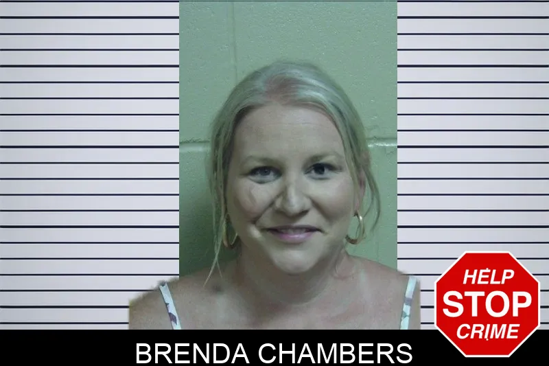 Brenda Chambers mugshot