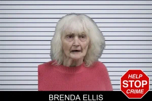 Brenda Ellis mugshot