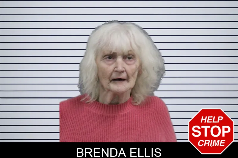 Brenda Ellis mugshot