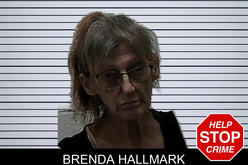 Brenda Hallmark mugshot
