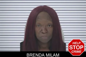 Brenda Milam mugshot