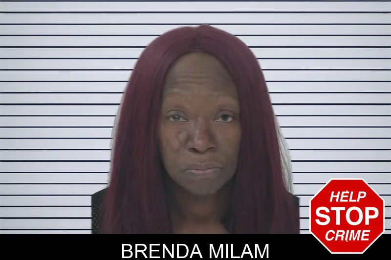 Brenda Milam mugshot