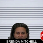 Brenda Mitchell mugshot
