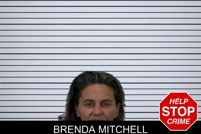 Brenda Mitchell mugshot – Hart County , Georgia Brenda Mitchell