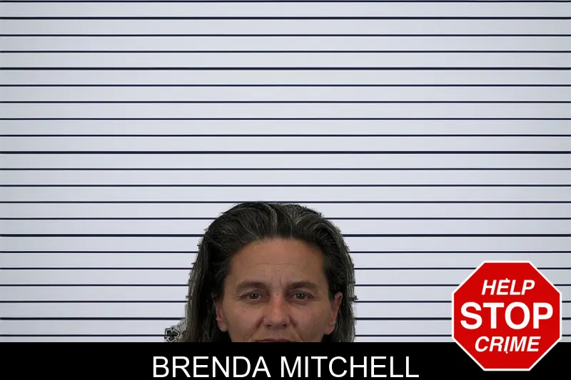 Brenda Mitchell mugshot