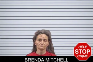 Brenda Mitchell mugshot