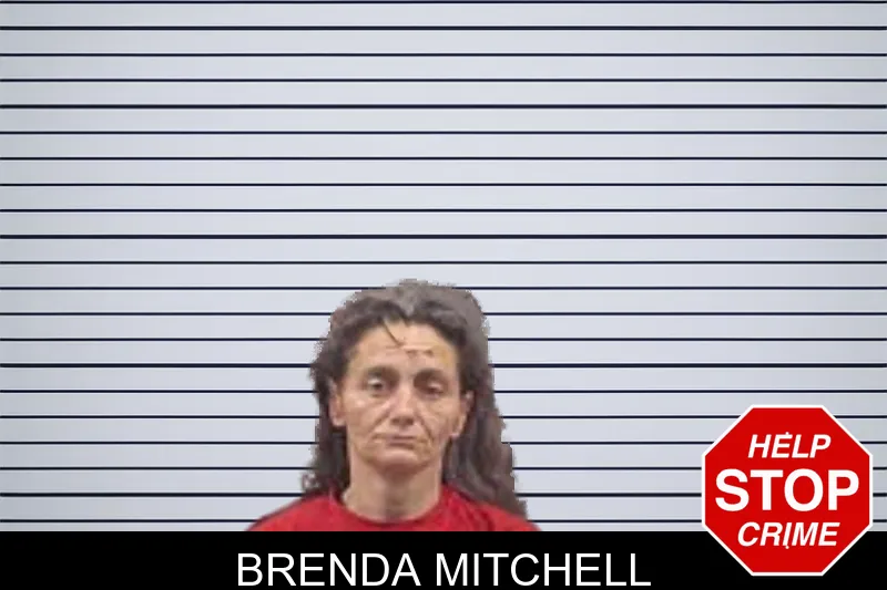 Brenda Mitchell mugshot