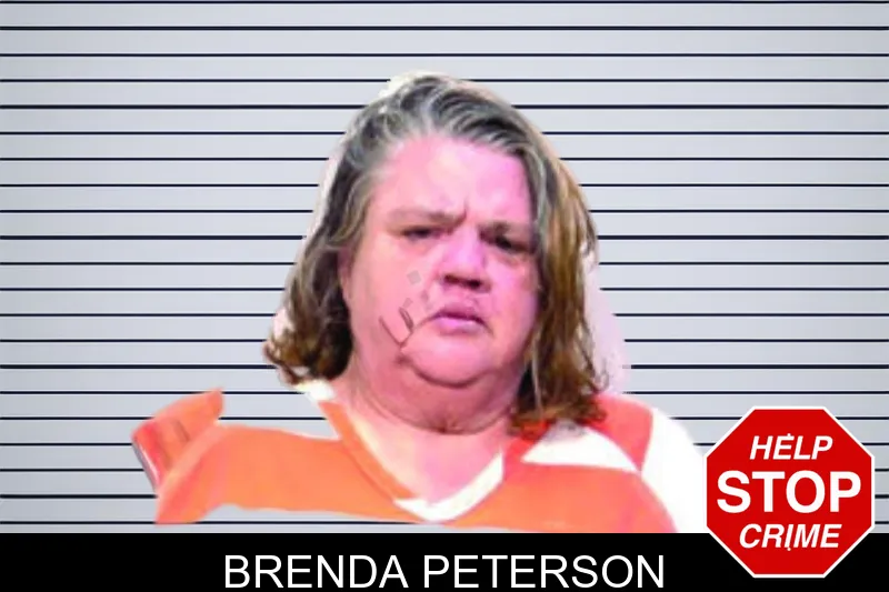 Brenda Peterson mugshot