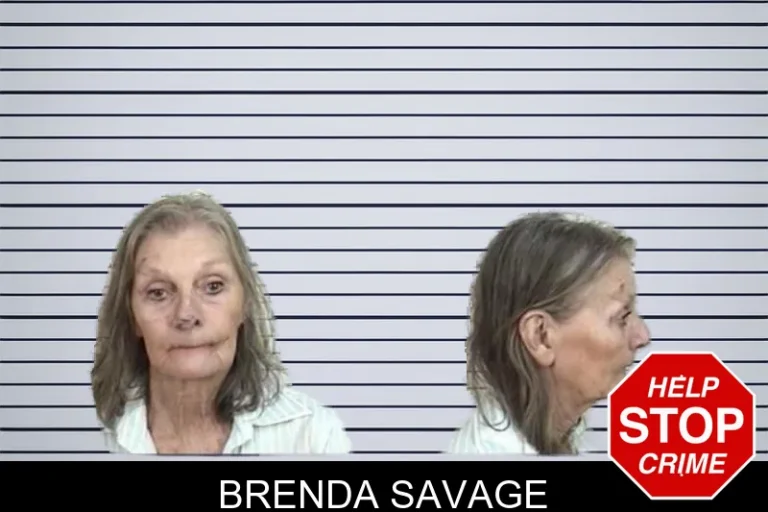 Brenda Savage mugshot – Camden County , Georgia Brenda Savage