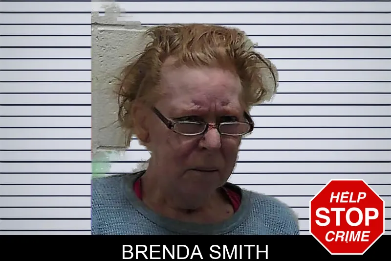 Brenda Smith mugshot