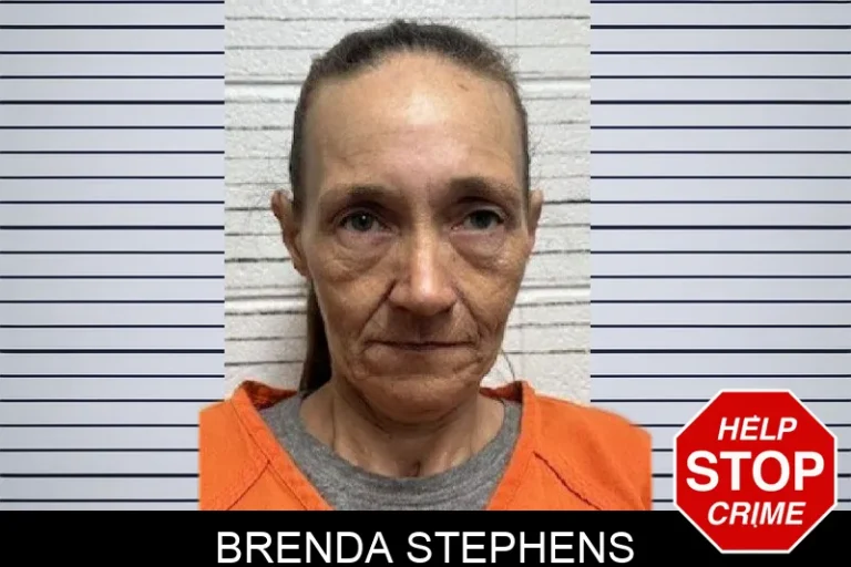 Brenda Stephens mugshot – Dade County , Georgia Brenda Stephens