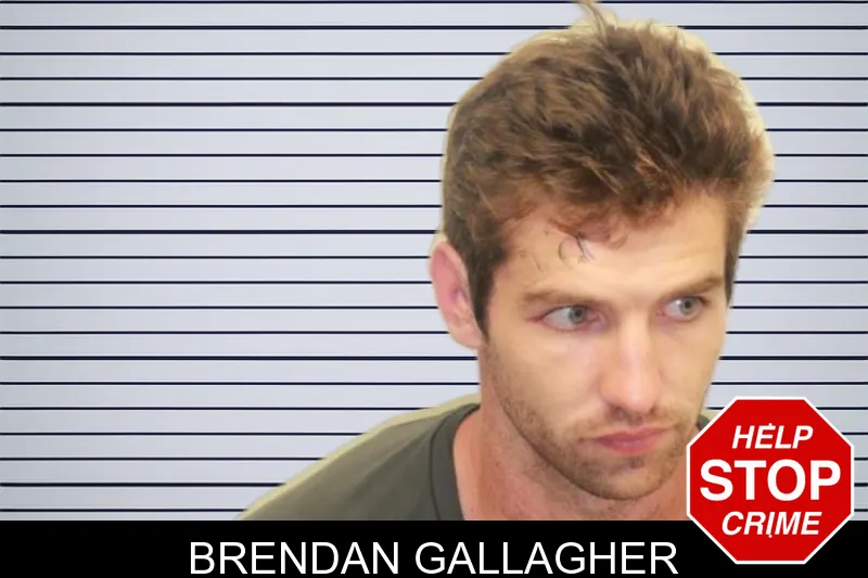Brendan Gallagher mugshot