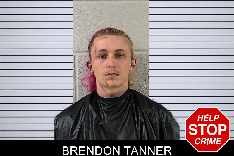 Brendon Tanner mugshot