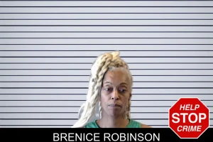 Brenice Robinson mugshot
