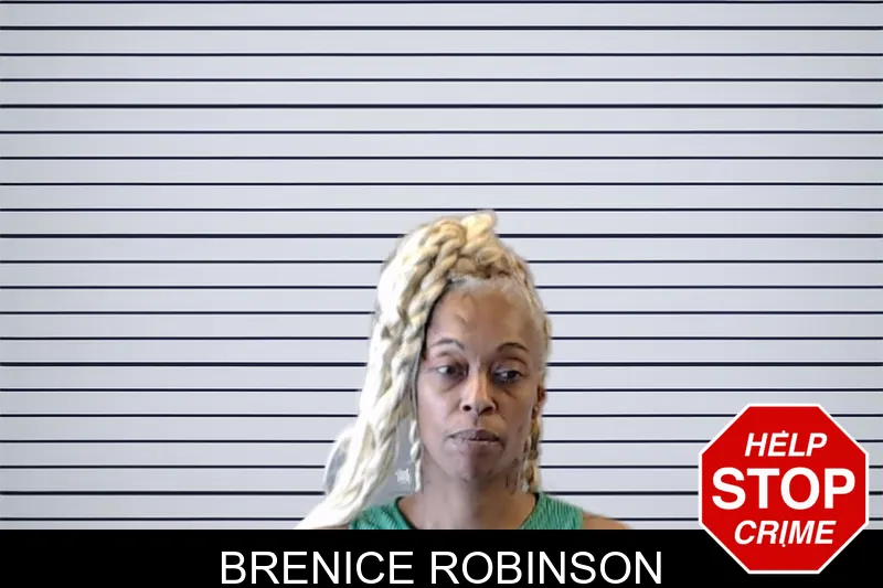 Brenice Robinson mugshot
