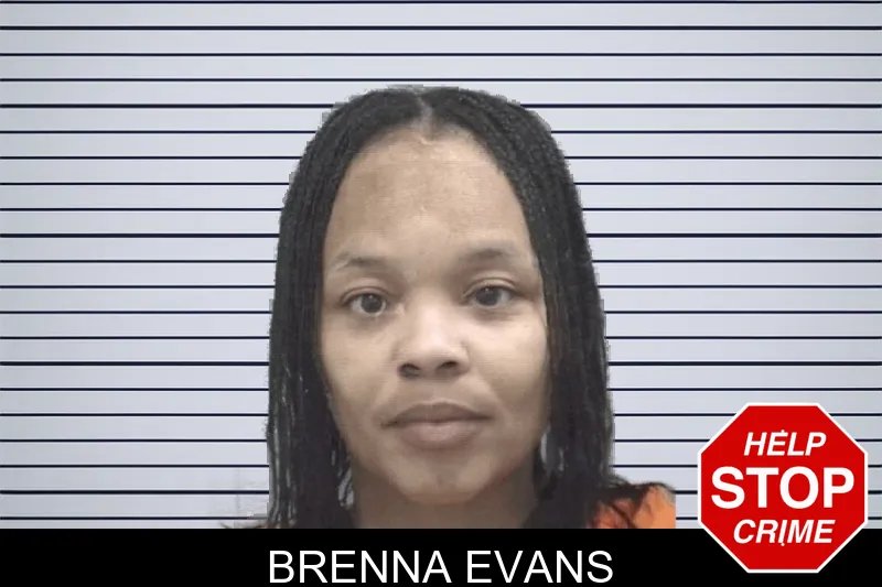 Brenna Evans mugshot