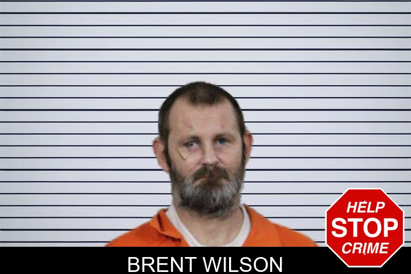 Brent Wilson mugshot