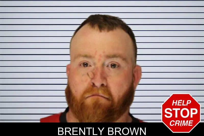 Brently Brown mugshot