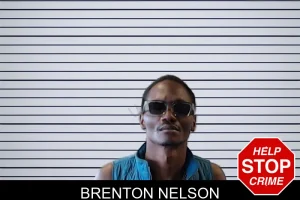 Brenton Nelson mugshot