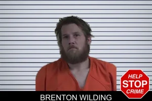 Brenton Wilding mugshot