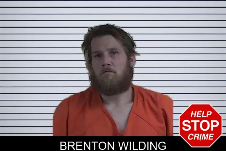 Brenton Wilding mugshot – Fannin County , Georgia Brenton Wilding