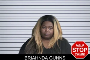 Briahnda Gunns mugshot