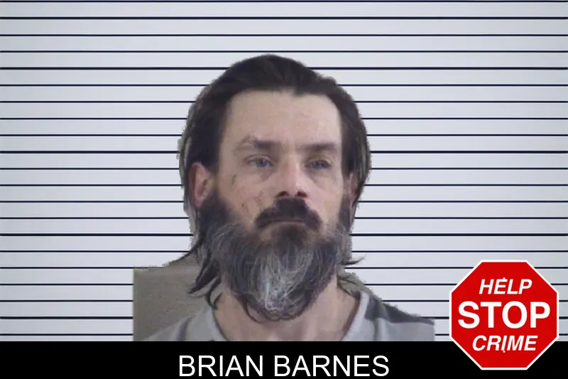 Brian Barnes mugshot – Whitfield County , Georgia Brian Barnes mugshot