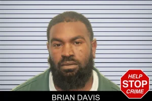 Brian Davis mugshot