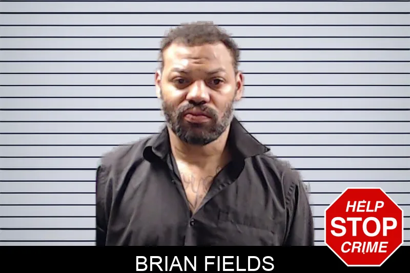 Brian Fields mugshot