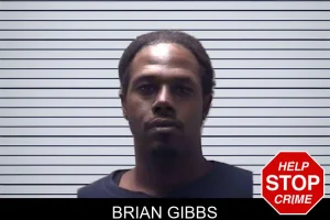 Brian Gibbs mugshot