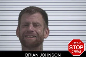 Brian Johnson mugshot