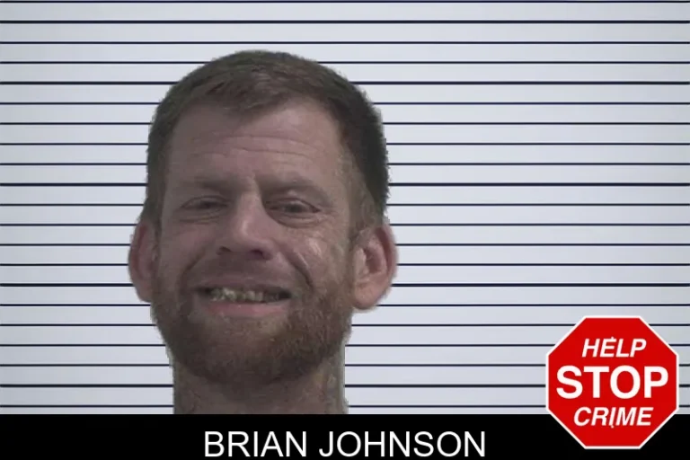 Brian Johnson mugshot – McDuffie County , Georgia Brian Johnson