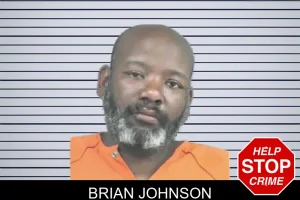 Brian Johnson mugshot
