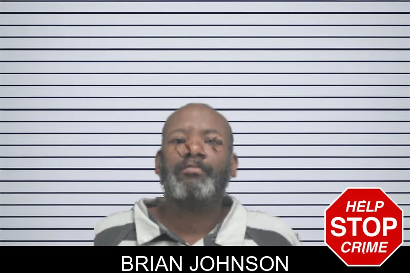 Brian Johnson mugshot
