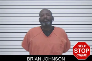 Brian Johnson mugshot