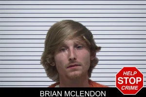 Brian McLendon mugshot