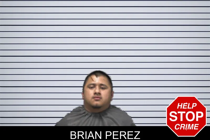 Brian Perez mugshot