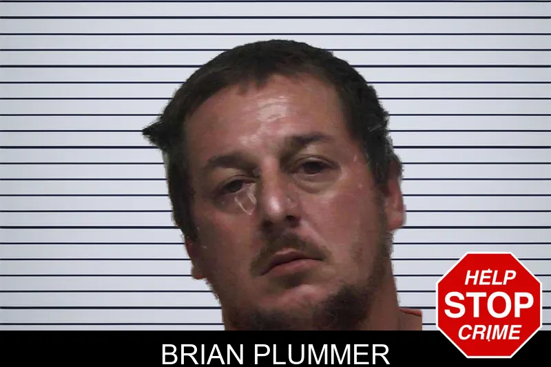 Brian Plummer mugshot – Laurens County , Georgia Brian Plummer mugshot