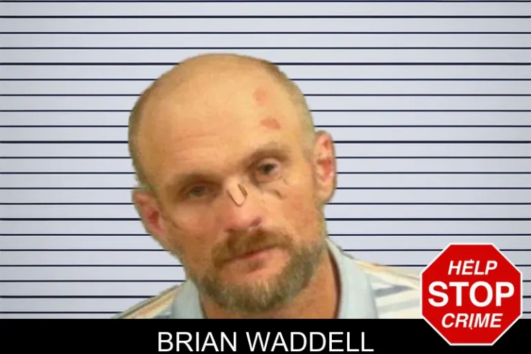 Brian Waddell