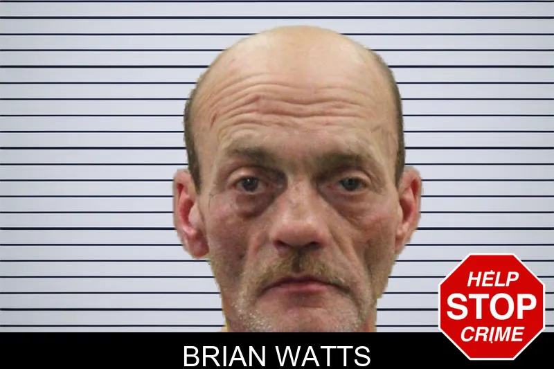 Brian Watts mugshot