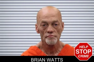 Brian Watts mugshot