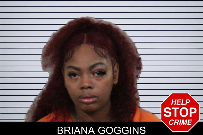 Briana Goggins mugshot
