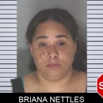 Briana Nettles mugshot
