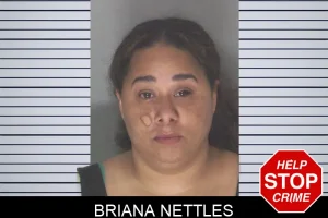 Briana Nettles mugshot