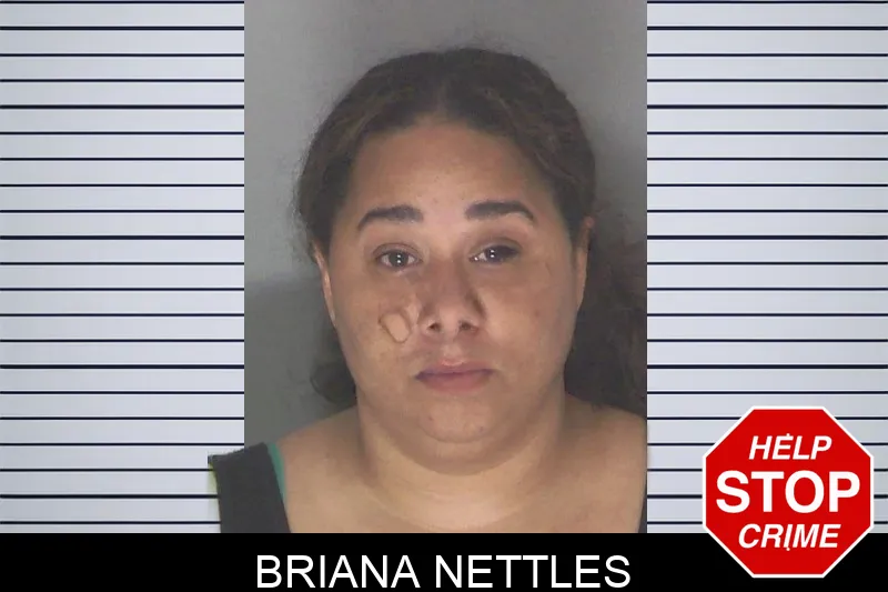 Briana Nettles mugshot