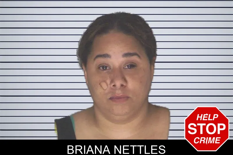 Briana Nettles mugshot