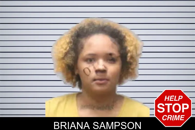 Briana Sampson mugshot